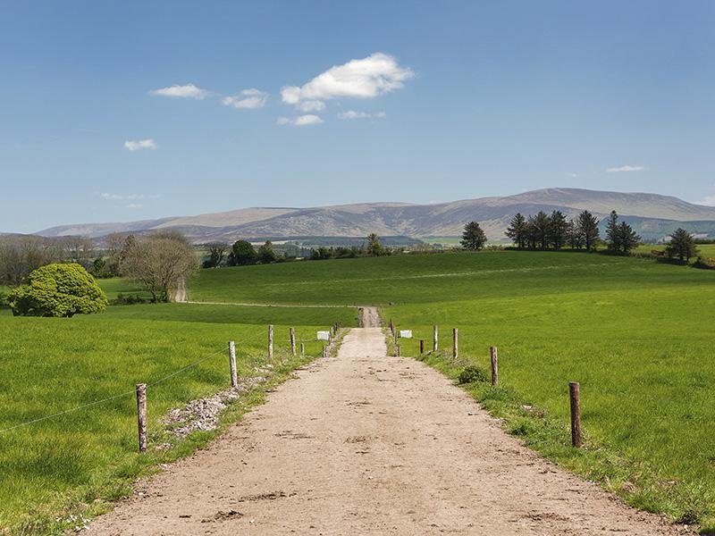 Curradoon House Villa Ballynamult ภายนอก รูปภาพ